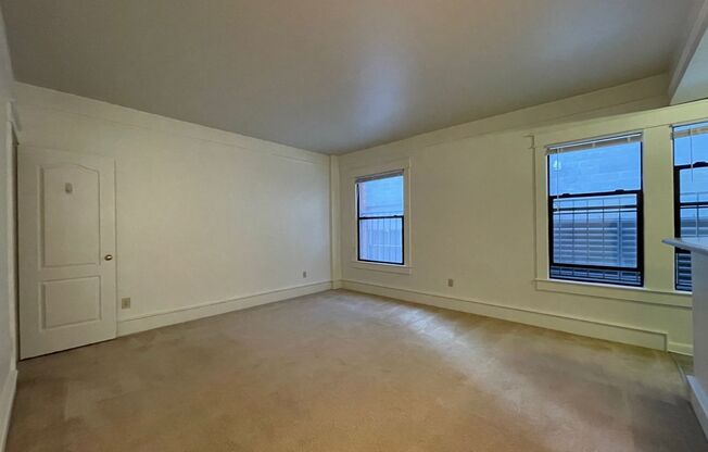 Studio, 1 bath, 464 sqft, $1,150, Unit 119