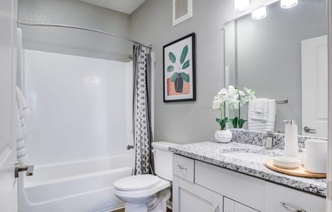 a bathroom with a shower toilet and sink