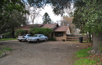 209 SUTTER AVE