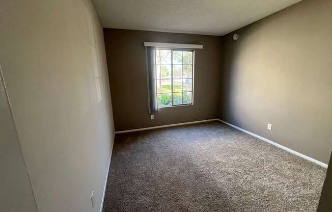A room with a window and carpeted floor.