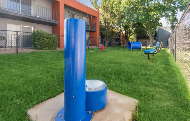 Community Dog Park with Agility Equipment at Indigo Park Apartments in Albuquerque, NM.