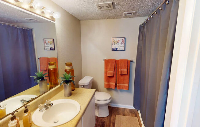 A bathroom with a toilet, sink, and mirror.