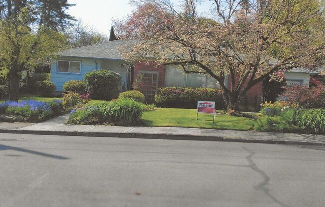 Must  See Mid Century Ranch house on .28 of an Acre!