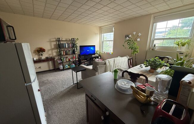1 bed, 1 bath, $1,045, Unit 388