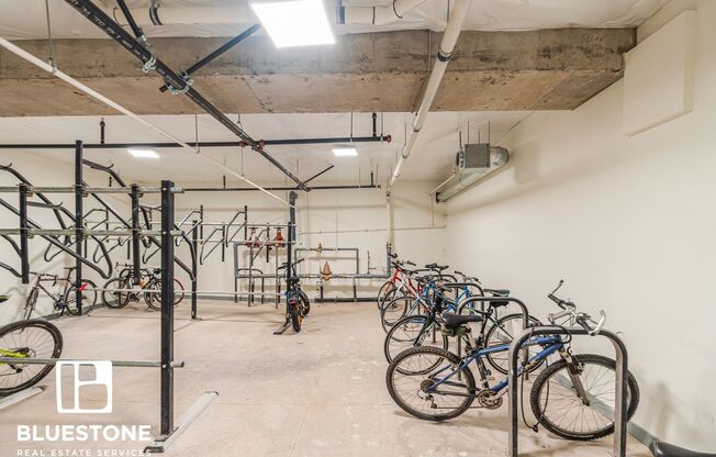 Studio, 1 bath, 389 sqft, $1,300, Unit 407