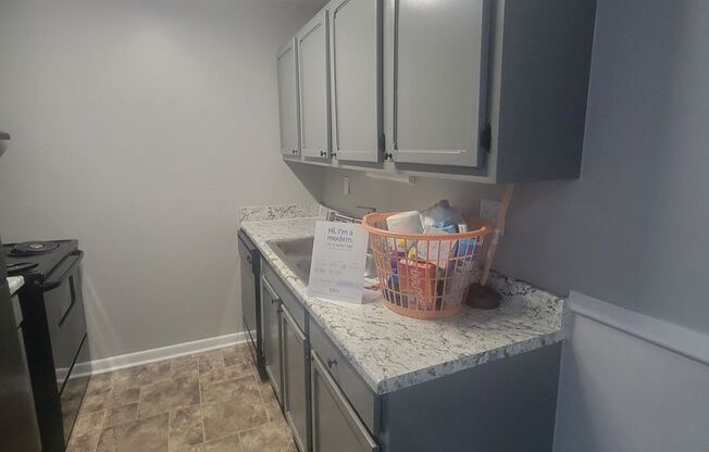 1 bed, 1 bath, 615 sqft, $695, Unit 1113-304