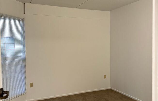 1 bed, 1 bath, 491 sqft, $1,250, Unit 203