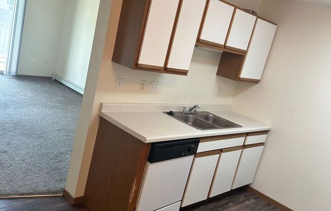 1 bed, 1 bath, 700 sqft, $725, Unit 207