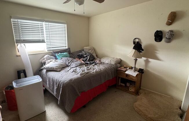 Updated 3-bedroom 1 bathroom in Littleton!