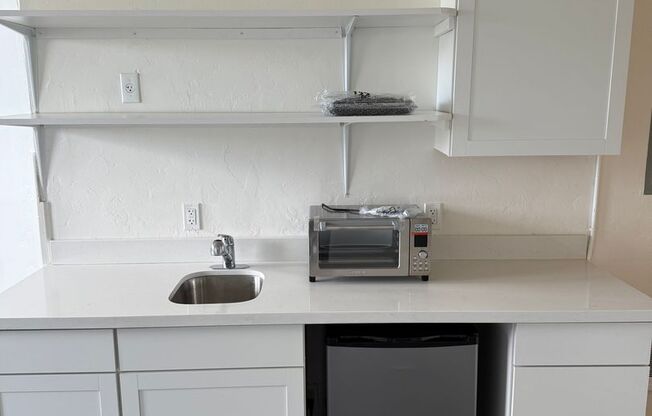 Studio, 1 bath, 250 sqft, $1,195, Unit 300