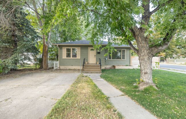 Cute midtown home for rent - pet friendly