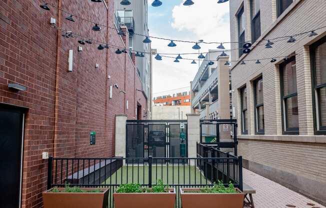 a courtyard with a grassy area and a black gate