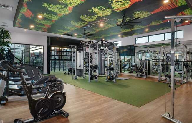 a gym with weights and cardio machines and a mural on the ceilingat Weylyn Luxury Apartments, Laveen, AZ 85339