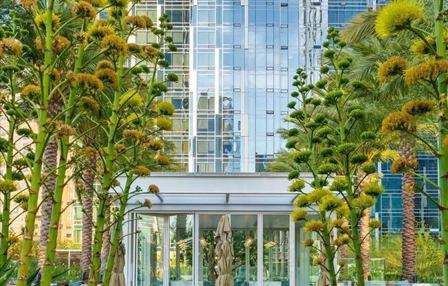 2 beds, 2 baths, 1,305 sqft, $4,800, Unit 2811