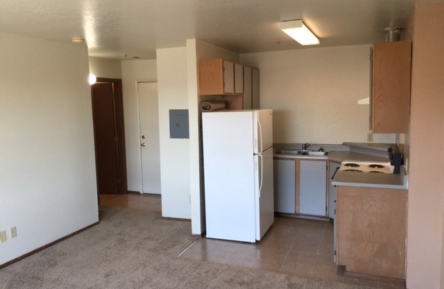1 bed, 1 bath, 459 sqft, $895, Unit 1121-407