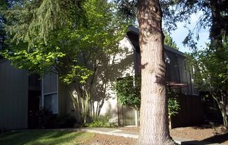 Ground Floor unit with a nice upgrade and small fenced Patio