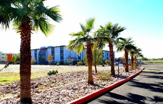 Elevate @ South Mountain LLC