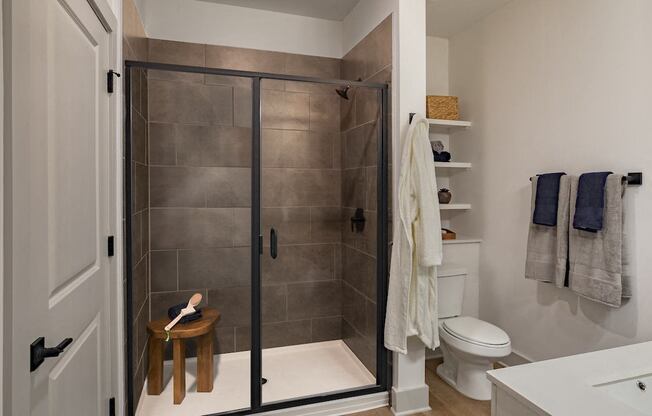 a bathroom with a shower and a toilet