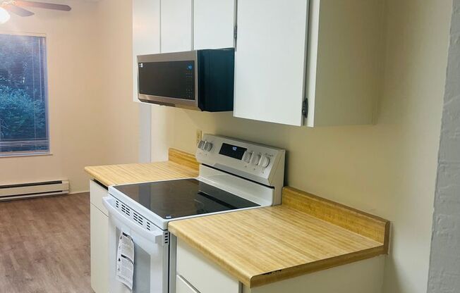 2 beds, 1 bath, $3,000, Unit Unit 133