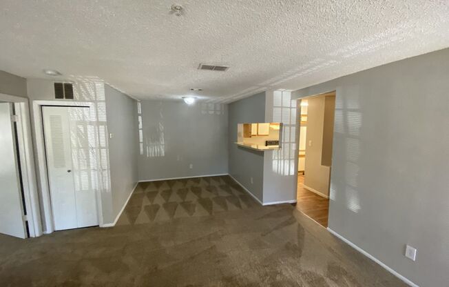 Large 2 bedroom 2 bath Condo with Fireplace