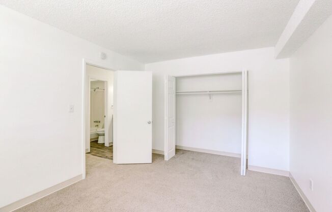 Studio, 1 bath, 438 sqft, $900, Unit 102