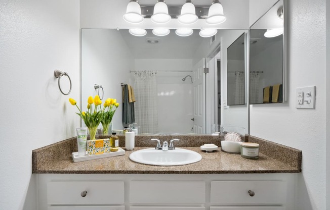 a bathroom with a sink and a mirror