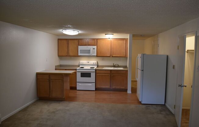 Studio, 1 bath, $1,175