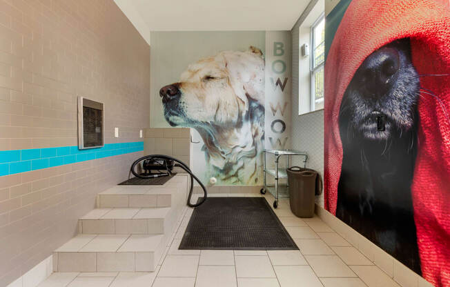 pet spa with steps and dryer at 1010 Dilworth Apartments, Charlotte, NC 28204