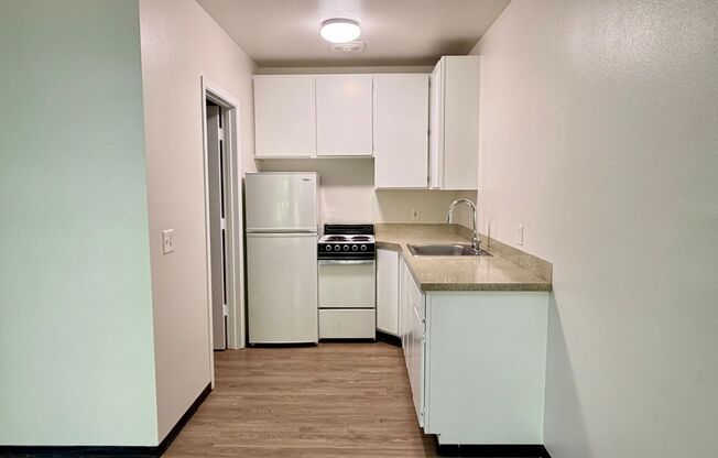 1 bed, 1 bath, 500 sqft, $1,495, Unit 0709-213
