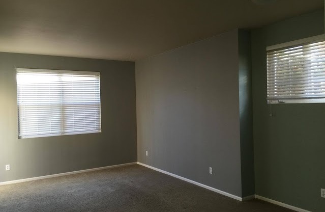 539 225 PL NE