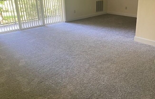 1 bed, 1 bath, 800 sqft, $1,675, Unit 3355 #203