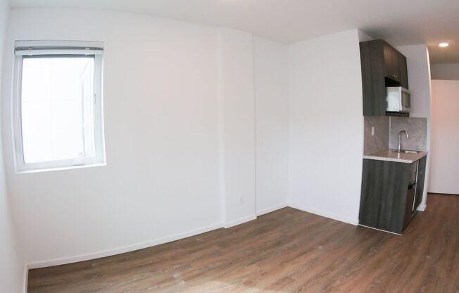 Studio, 1 bath, 186 sqft, $1,195, Unit 509