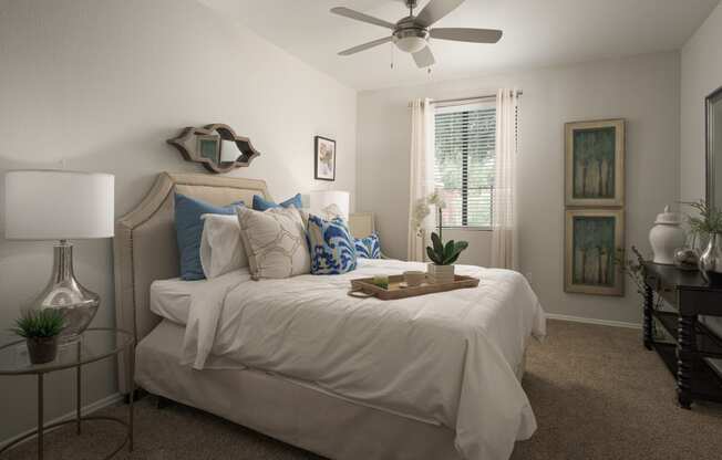 Large bedroom with large walk-in closets at Trevi Apartment Homes