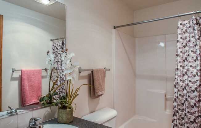 Farr Court Apartments Bathroom Sink and Shower