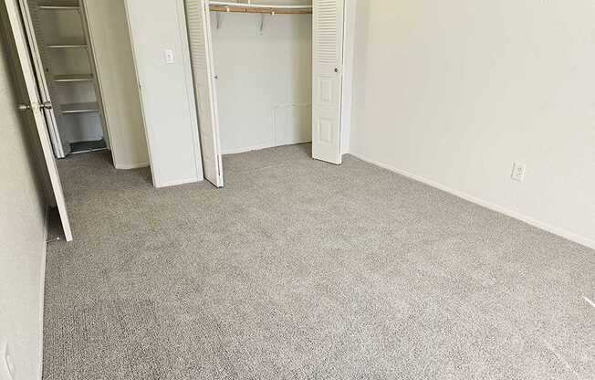 A room with a carpeted floor and a closet with a white door.