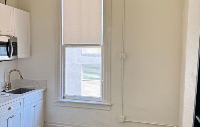 Studio, 1 bath, 166 sqft, $1,500, Unit 317
