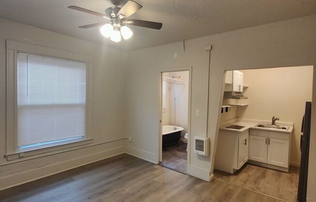 Studio, 1 bath, 306 sqft, $1,295, Unit 100