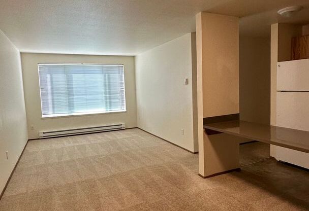 3 beds, 1 bath, 850 sqft, $2,175, Unit 203