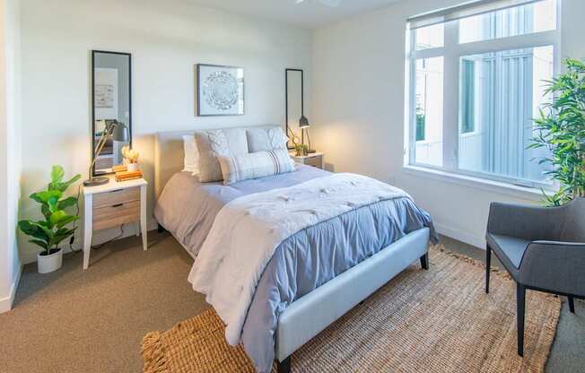 A bedroom with a large bed, a chair, and a potted plant.