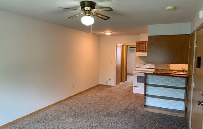 1 bed, 1 bath, 700 sqft, $685