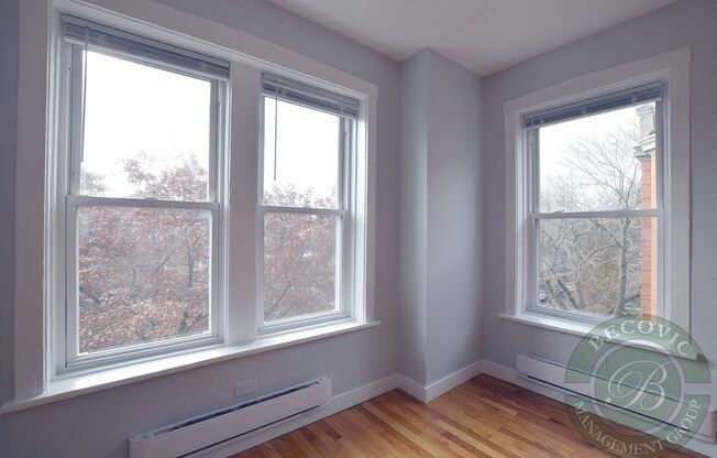 Studio, 1 bath, 250 sqft, $1,250, Unit 7450-37