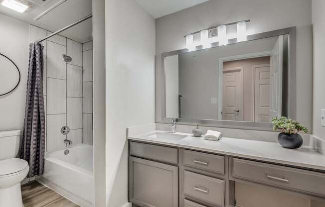 A bathroom with a white toilet, a bathtub with a shower curtain, a sink with a mirror and lights above it, and a potted plant on the counter.