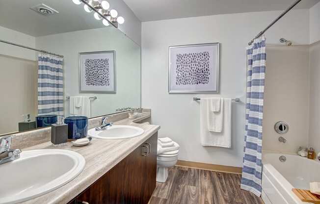 Kent Apartments- Signature Pointe Apartments- bathroom