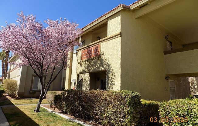 1 bed, 1 bath, $1,100, Unit #2033