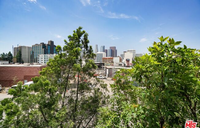 1 bed, 1 bath, 735 sqft, $2,500, Unit 308