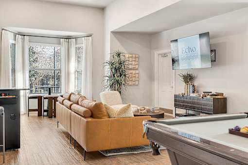 A living room with a pool table and a television displaying the word "Echo".