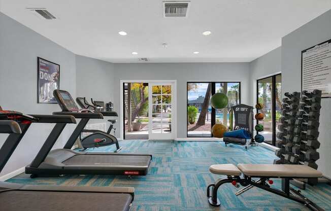 A gym with treadmills, exercise balls, and a bench.