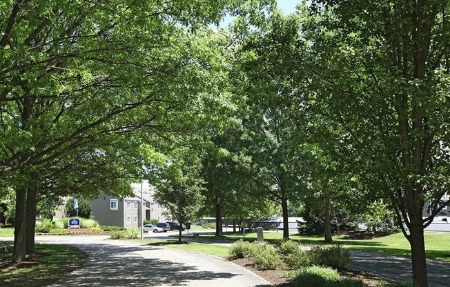 a tree lined street in a neighborhood with trees