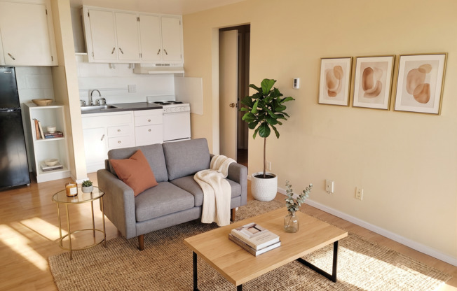 Ballard Seattle 1 Bedroom Apartment for Rent | Walk Score 98, Pet-Friendly Living Near Market Street, Shops & Transit Access