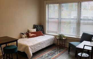 Studio, 1 bath, 250 sqft, $1,050, Unit 311
